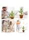 Dancing Cactus Plush Stuffed Toy with Music
