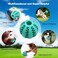 Jjone Dog Toy Ball, Nontoxic Bite Resistant Toy Ball For Pet Dogs Puppy Cat, Dog Pet Food Treat Feeder Chew Tooth Cleaning Ball Exercise Game Iq Training Ball 7cm (2Pcs)