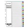 Maxi 1-31 Part Coloured PP Divider White