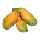 Taymor Mango