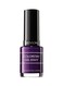 Revlon Colorstay Gel Envy Longwear Nail Enamel 450 High Roller