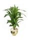 Generic Artificial Plant With Planter Green