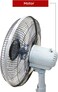 Nobel 16 Inch, 90 Degree Oscillation Stand Fan With 3 Speed 5 Blades And Timer, Multi Speed Function &amp; Dual Frequency, 5 Highlight Efficient Blade With Air Vortex Technology NF145 Gray