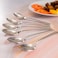 Stainless Steel Spoon 6 Pc