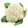 Cauliflower Jordan