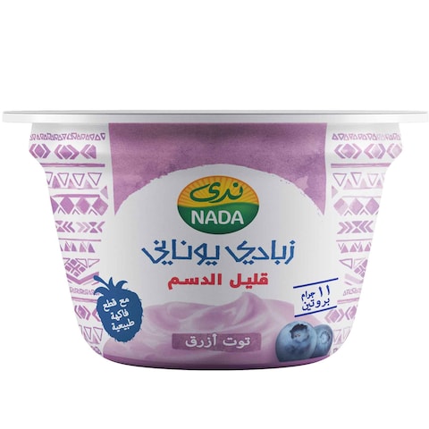 Nada Low Fat Blueberry Greek Yoghurt 160g