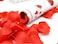 Party Time 1-Piece Red Rose Petals Party Popper - Confetti Cannons with Artificial Rose Petals For Birthday Engagement Proposal Wedding Party Supplies (40cm)