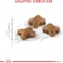 Royal Canin Fhn Feline Health Nutrition Kitten 400Gm Cat Dry Food