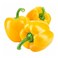 Yellow Capsicum