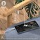 Green Lion Metal Earphone 1.2M Cable Length, Premium Sound, Hi-Fi Audio, Powerful Bass, 10mm Call - Earphone (Black)