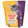 Meow Mix Original Choice Cat Food 51g