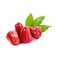 Rose Apple Per Pack