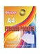 100-Piece Punched Pocket, A4 size Clear