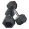 Harley Fitness 20.00KG Rubber Coated Fixed Hex Dumbbell 1 Pair
