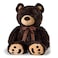 brown teddy bear 60cm