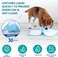 Papee Disposable Absorbent Quick Drying Leak-Proof Pee Pads For Potty Training For Pets, 60X60Cm L - 40 Pieces, Blue, L - 60X60Cm