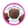 Baskin Robbins Ice Cream Chocolate 500ml