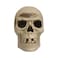 Skull with Lights