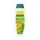 Palmolive Naturals Fresh And Volume Shampoo 350ml