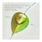 Herbal Essences Bio Renew Purify Micellar Water &amp; Blue Ginger Conditioner - 400 ml