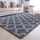 Generic Luckyrao Area Rugs Soft Living Room Carpet Plush Pile Rugs Fluffy Carpets Anti Slip Fluffy Bedroom Rug Shaggy Floor Mats Large For Living Room Hallway Bedroom (Gray, 120 X 160cm)