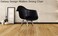 GDF Modern Dining/Coffee Arm Chair Plastic Shell With Wooden Legs Black Color  Model-JEAMS5