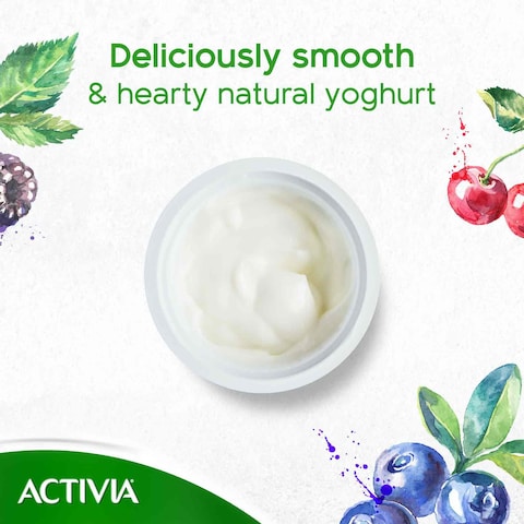 Activia Set Yoghurt Full Fat 150g