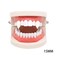 Toyvian 4 Boxes Vampire Teeth Dentures Fangs Horror False Teeth Cosplay Props For Halloween Costume Party Masquerade (13mm Box + 15mm Box + 17mm Box + 19mm Box) For Kids