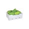 Foam Pack Capsicum Green