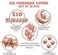 ESSEN Rose Gold Eid Mubarak Decoration Balloons Party Supplies - 37 pcs