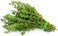 Vsell24 3Pack Organic Thyme Seeds for Planting Grow Herbs Tree At Home NON GMO Hearbs Seeds With 95% Cleaness, 95% Purity, 80% Germination Rate 10g