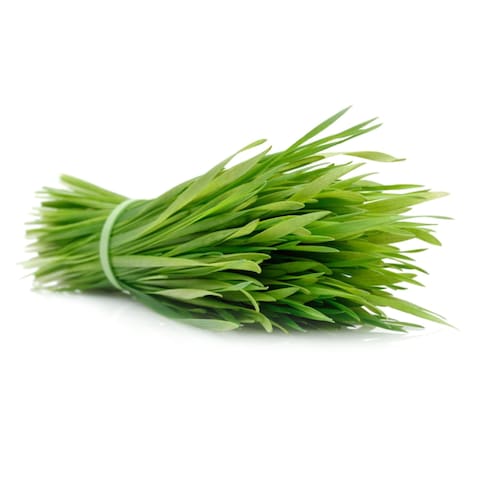 Microgreens Wheatgrass 50G