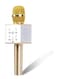 Generic Portable Wireless Karaoke Microphone Gold