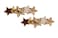 Aiwanto Hair Pin Hair Clips Beautiful Star Hair Clips Fashion Hair Accessories For Girls Kids (2Pcs)