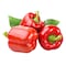 Capsicum Red