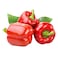 Capsicum Red 500g 