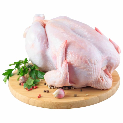 دجاجة كاملة