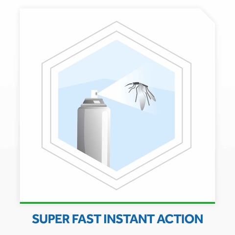 Raid Super-Fast Crawling Insect Killer Spray 300ml