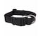 Petmate Nylon Adjustable Dog Collar 3/8"X8-14" Black