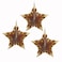 Gold Metallic Star Shaped Hanging Fan Decoration