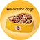PEDIGREE&reg; Beef &amp; Vegetables Dry Dog Food Adult 10kg