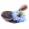 Nigella sativa