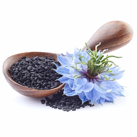 Nigella sativa