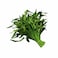 Kangkong Leaves (Per Bunch)