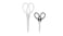 Scissors, set of 2