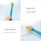 Flipper Hygienic Kids Toothbrush Holder With Suction Cups, Made In Malaysia, Fun Animal Beagle, 3Y+