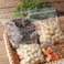 Lavish [ 50- Piece ] Ziplock Lock Storage Bag Size - 18 X 21 cm
