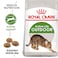 Feline Health Nutrition Outdoor 2 KG