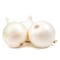 White Onion