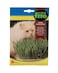 Fito Cat Grass
